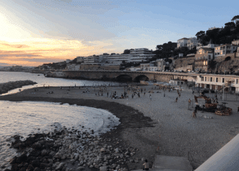 Plage du Prophète posidonie