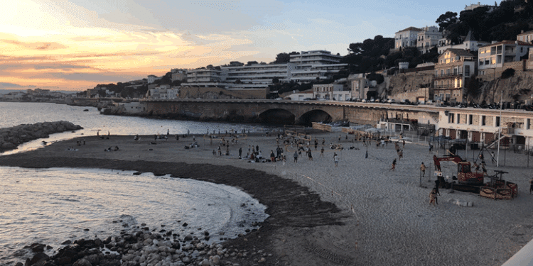 Plage du Prophète posidonie