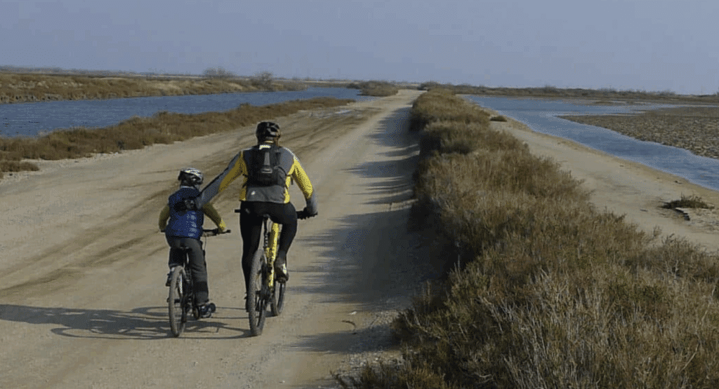 vélo Arles Camargue