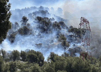 Incendie Marseille