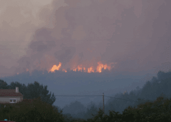 incendie Martigues