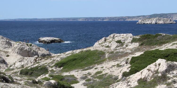 Quels sont les espaces marins protégés de la métropole Aix-Marseille Provence ?