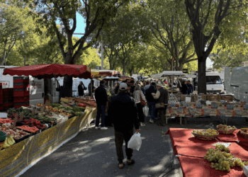 Le grand marché en plein air boulevard des Lices chaque samedi matin à Arles (Crédit Gomet')