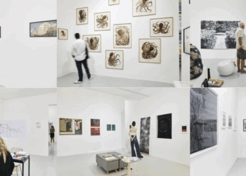 Paréidolie https://pareidolie.net