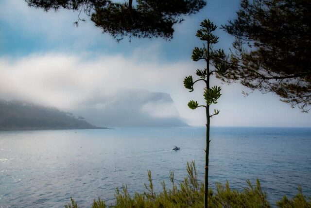 Cassis (Crédit archives Gomet' / JY Delattre)