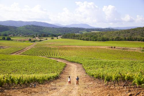 Randonnée Sentier botanique - Les Frégourières à Pontevès