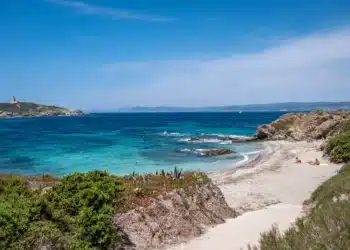 Île des Embiez/ Surfrider lance la page préférée des français