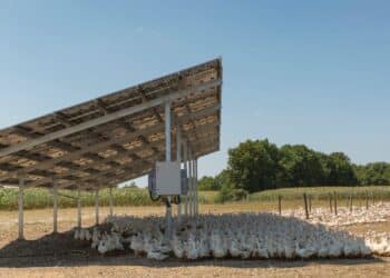Novafrance Energy (Meyreuil) souscrit une émission obligataire pour financer ses poulaillers solaires