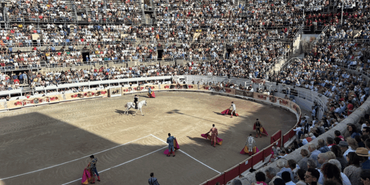 Corrida Goyesque