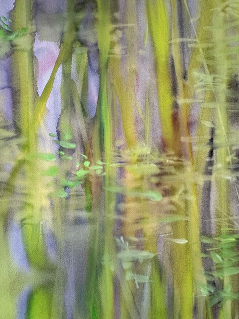 Alexandra Deman. Série Bambous