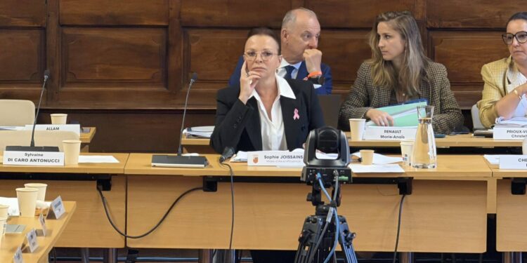 Sophie Joissains veut récupérer la gestion des 8 parkings aixois