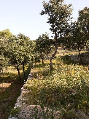 sentier de la Pastorale À Salon de Provence