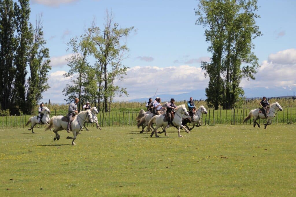 Fête traditionnelle Vachette Ballots revient ce wekk-end