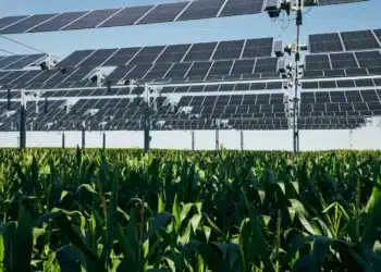 STMicroelectronics s’engage pour 15 ans avec TSE (06)