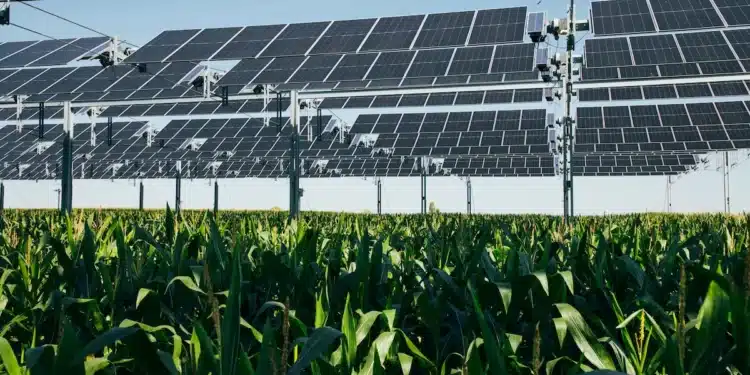 STMicroelectronics s’engage pour 15 ans avec TSE (06)