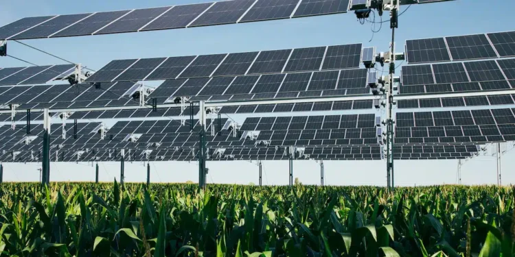 STMicroelectronics s’engage pour 15 ans avec TSE (06)