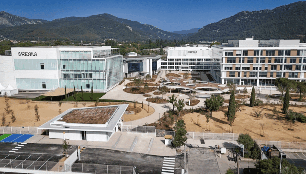 Sartorius