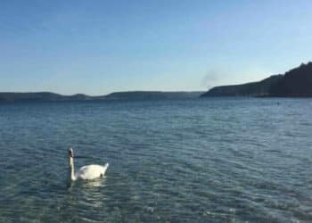 Journée mondiale des zones humides : tout un programme sur l&rsquo;étang de Berre