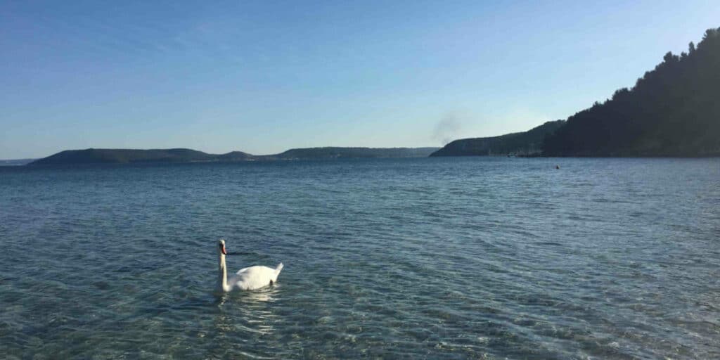 Journée mondiale des zones humides : tout un programme sur l’étang de Berre