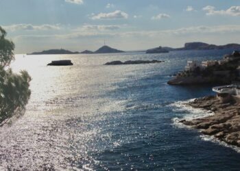 Sept « zones de protection fortes » actées sur le littoral méditerranéen