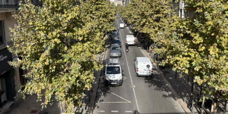 Le cours Lieutaud à Marseille, haut lieu de transit de la logistique urbaine (Crédit Gomet')