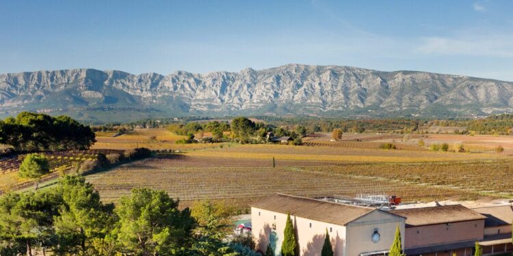 Classement en Cru Sainte-Victoire : une victoire, fruit de la cohésion de tous les vignerons du terroir