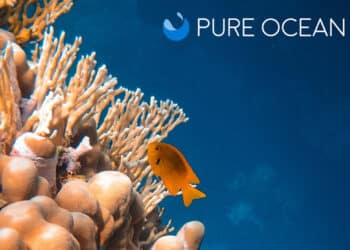 Pure Ocean soutient cinq nouveaux projets scientifiques pour la préservation de l’Océan