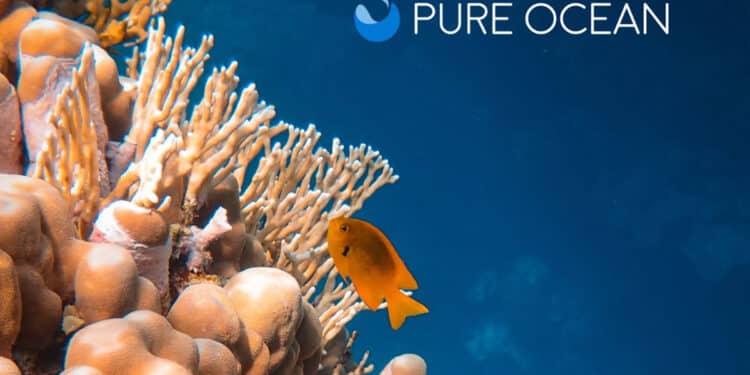 Pure Ocean soutient cinq nouveaux projets scientifiques pour la préservation de l’Océan
