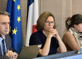 Camille Galliard-Minier