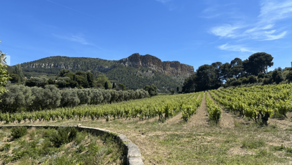 Le Domaine du Bagnol à Cassis