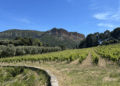 Le Domaine du Bagnol à Cassis