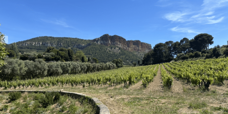 Le Domaine du Bagnol à Cassis