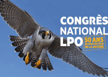 Congrès national LPO 50 ans