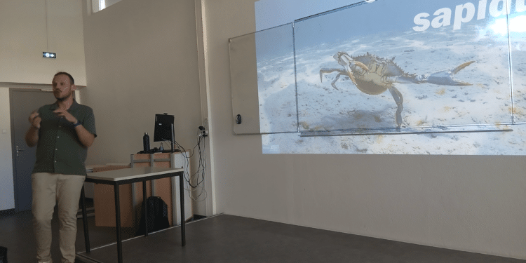 Conférence invasion crabe bleu