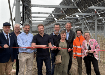 Enedis raccorde un site agrivoltaïque majeur sur des vignes à Travaillan (84)
