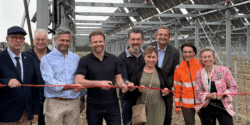 Enedis raccorde un site agrivoltaïque majeur sur des vignes à Travaillan (84)