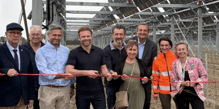 Enedis raccorde un site agrivoltaïque majeur sur des vignes à Travaillan (84)