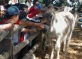 Salon des agricultures de Provence
