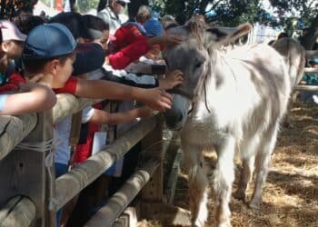Salon des agricultures de Provence