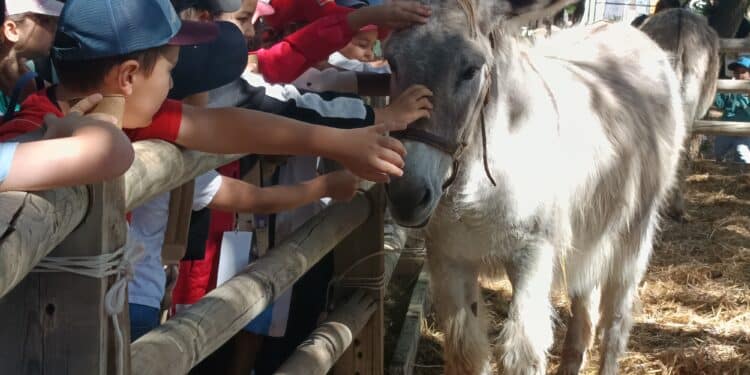 Salon des agricultures de Provence