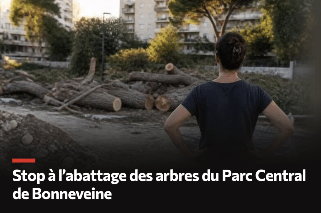 illustration Parc de Bonneveine change.org