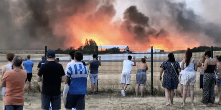incendies Crédit Fondation de France