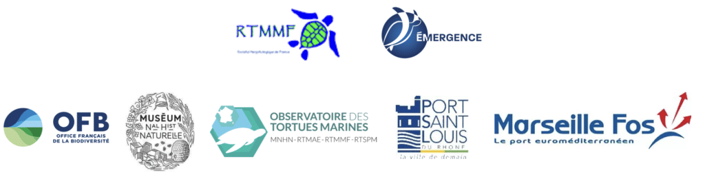 Les partenaires observation et protection des tortues