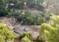 Crédit : DR / Groupe Pour les arbres du Parc de Bonneveine