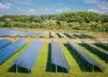 Melvan (Orléans) lève 900 000 € pour construire un parc solaire à Courthézon (84)