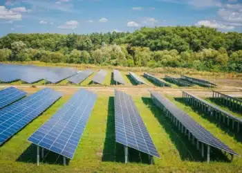 Melvan (Orléans) lève 900 000 € pour construire un parc solaire à Courthézon (84)