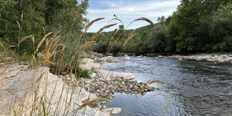 rivière ardèche