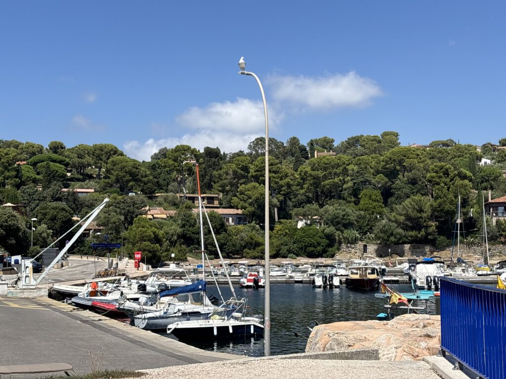 Le petit port du Niel