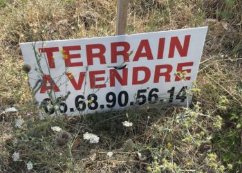 terrain à vendre immobilier canicule résidence secondaire