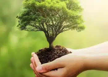Le Crédit Agricole lance un nouveau pôle dédié au capital naturel
